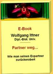 Ebook