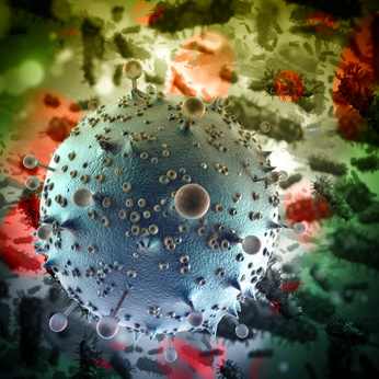 Zelle des Immunsystems